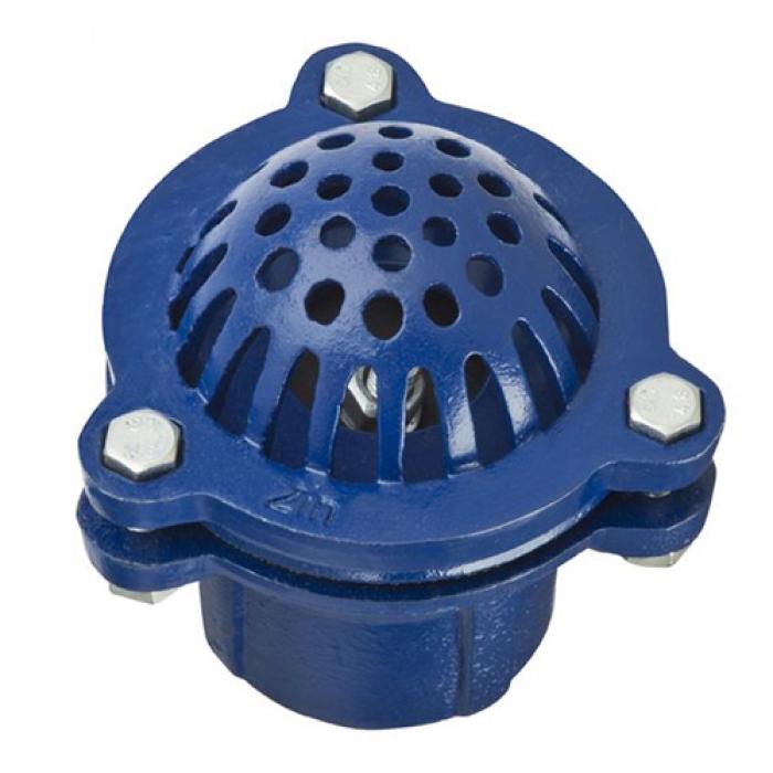 Speaker 1